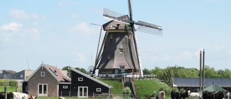 The cottage near the windmill