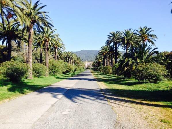 150 meters from the beach
