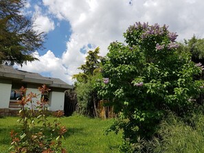Boendeområde