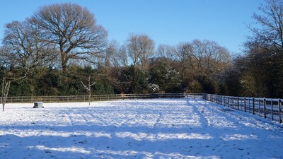 THE SECRET COTTAGE, WESTERHAM FAMILY FRIENDLY SLEEPING UP TO 6 