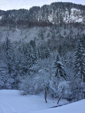 Deportes de invierno y ski