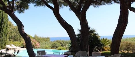 jardin vue piscine et mer.
déjeuner sous les pins