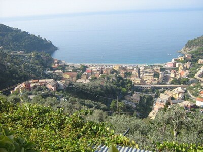 Charming 50m2 + covered loggia overlooking the sea