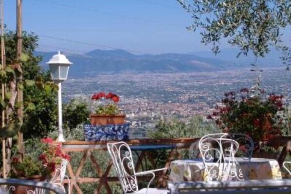 Terrace / Balcony