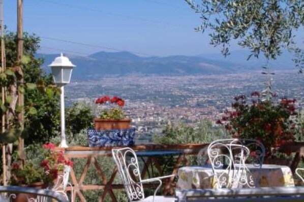 Terrasse / Balkon