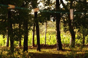 Propriété 1 ha en bordure des vignes . Le terrain de boule est à cet endroit.
