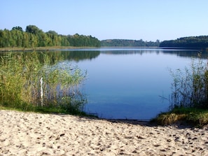 Sekalaista