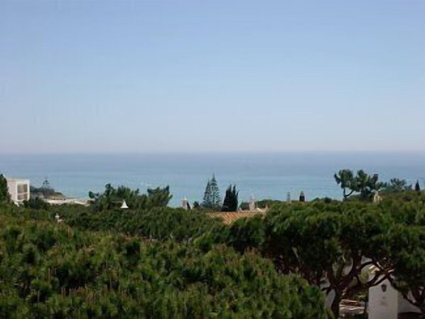 View from roof terrace