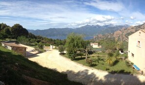 Overview