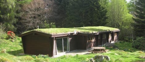 The house on a sunny May morning from the little play house up the hill.