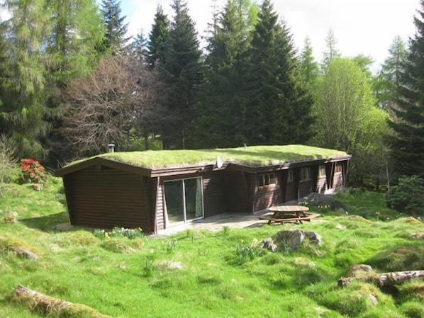 The house on a sunny May morning from the little play house up the hill.