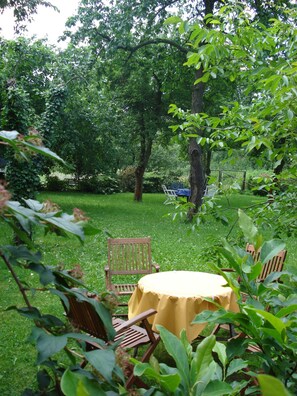 Blick von der Sitzecke in den Garten mit Obstbäumen