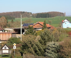 Blick vom Balkon Wohnzimmer