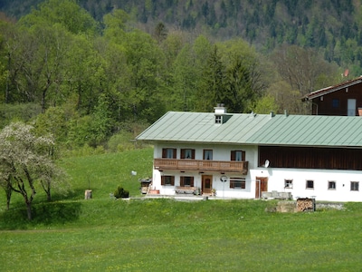 Apartment in the middle of the green 