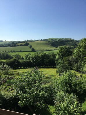 Views From Bedroom Window