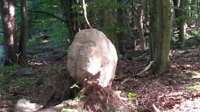 Urlaub auf dem Land - Erholung pur - zu jeder Jahreszeit