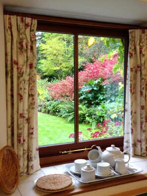 Back garden from kitchen window.