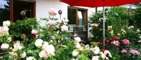 meine Terrasse bei voller Rosenblüte