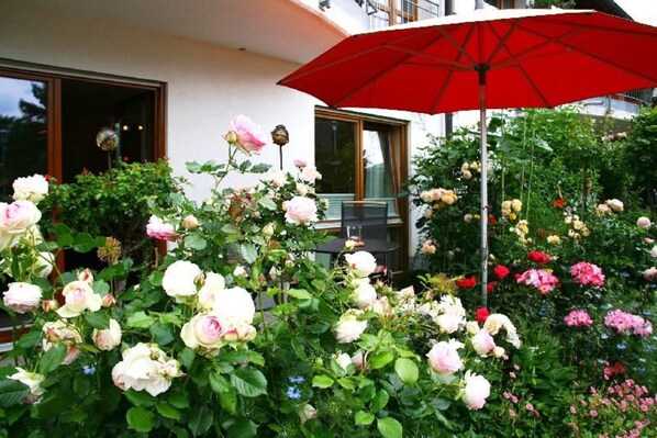 meine Terrasse bei voller Rosenblüte