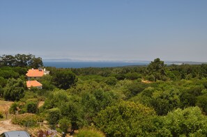 Blick vom Haus in die Weite und aufs Meer