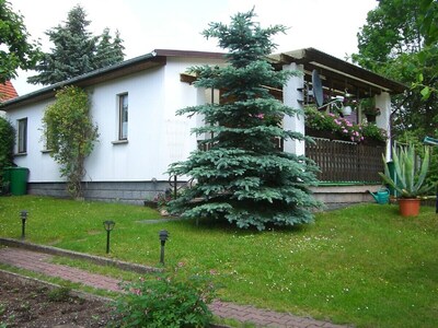 Modern und behaglich eingerichtetes Ferienhaus in Waldnähe