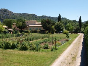 Jardines del alojamiento