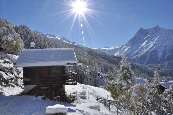 La Petite Ourse en hiver