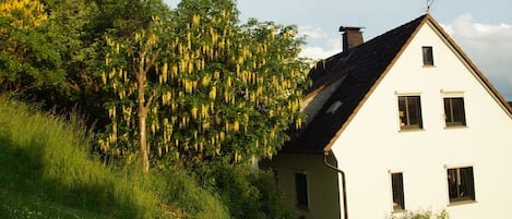 Das Haus im Sommer, vom Garten aus gesehen.