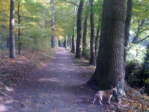 Herbstlicher Wanderweg