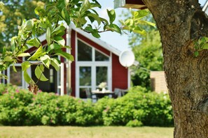 unter dem Apfelbaum