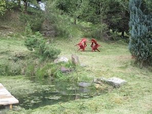 Boendeområde