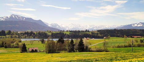 unsere Aussicht auf die Allgäuer Berge mit dem Niedersonthofener See