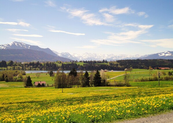 unsere Aussicht auf die Allgäuer Berge mit dem Niedersonthofener See