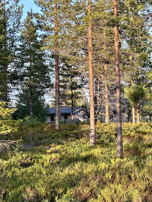 Boendeområde