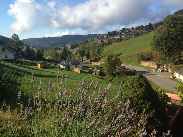 Blick von der Terrasse - view from the terrace in summer