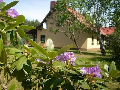 at the forest, lake, rest and relaxation, comfortably furnished, large garden, 