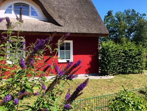 Hinter der Buchenhecke liegt die Terrasse