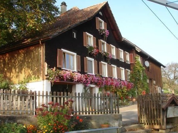 Exteriör