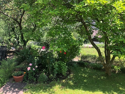 Traumhafte Ferienwohnung mit Garten und Terrasse im Grünen