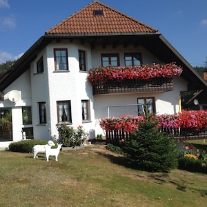 Schöne, große, komfortable  4 Sterne-Ferienwohnung zum Wohlfühlen.