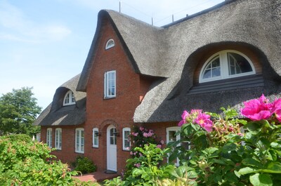 Modern apartment in Nebel on Amrum. Living under thatch in the Frisian house.