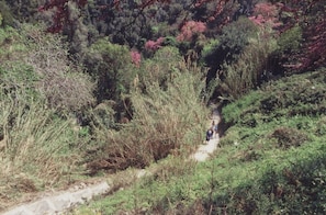 The path to the beach