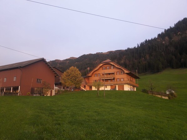 Exteriör