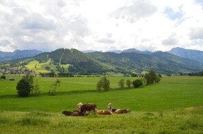 Boendeområde