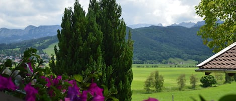 Aussicht vom Balkon