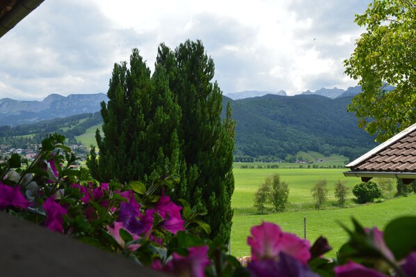 Aussicht vom Balkon