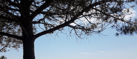 Strand in Grau d'Agde