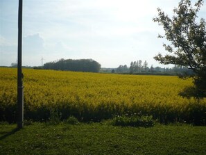 Terrenos do alojamento