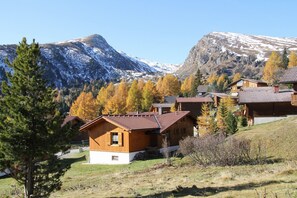 Exteriör
