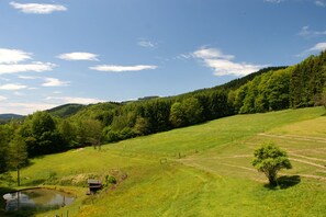 Oklassificerad bild, 2 av 14, knapp